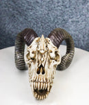 The Beast of Endragon Elder Dragon Head Skull with Ram Horns Figurine 7.5"L