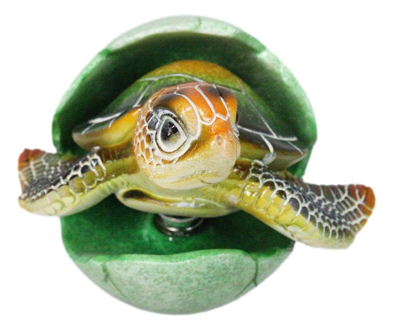 Green Nautical Marine Sea Turtle Hatchling Emerging Out of Egg Mini Figurine
