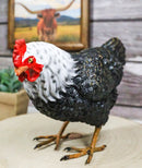 Rustic Western Country Iowa Blue Spotted White Breast Rooster Chicken Figurine
