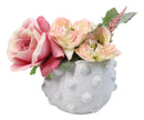 Nautical Ocean Marine White Sea Urchin Ribbed Design Terracotta Planter Pot