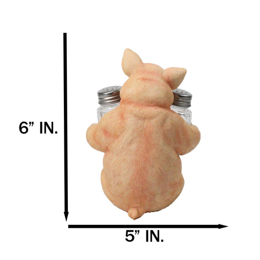 Cute Pig Salt and Pepper Shaker Holder Set with Glass Shakers, Smiling Porky Pig
