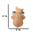 Cute Pig Salt and Pepper Shaker Holder Set with Glass Shakers, Smiling Porky Pig