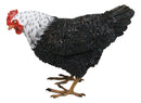 Rustic Western Country Iowa Blue Spotted White Breast Rooster Chicken Figurine