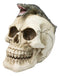 Ossuary Macabre Gothic Jointed Skull with Perching Crocodile Gator Figurine