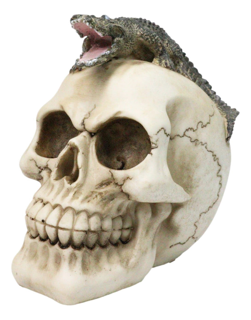 Ossuary Macabre Gothic Jointed Skull with Perching Crocodile Gator Figurine