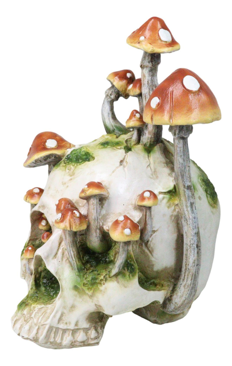 Large Day Of The Dead Toadstool Mushrooms And Moss Fungi Skull Figurine 11.5"H