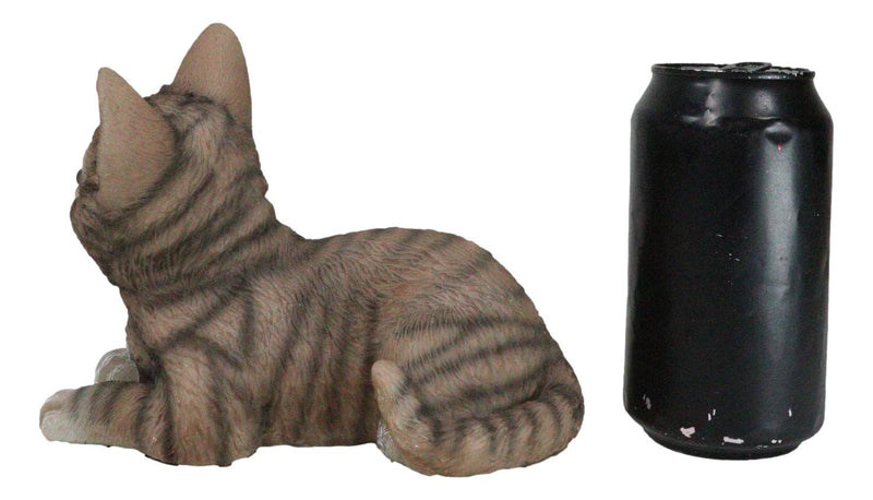 Lifelike Adorable Sitting Gray Brown Tabby Feline Kitten Cat Pet Pal Figurine