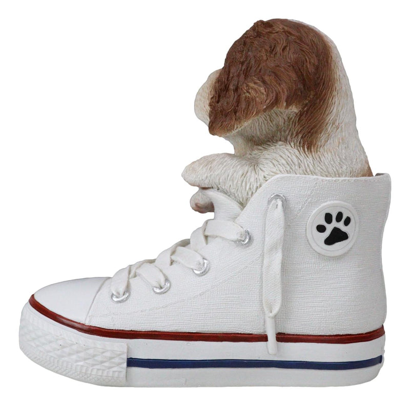Ebros 'Paw-Star' Pups King Charles Spaniel in Sneaker with Glass Eyes Figurine