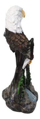 Bald Eagle Bust with Soaring Eagle Over Pine Forest Figurine Patriotic American
