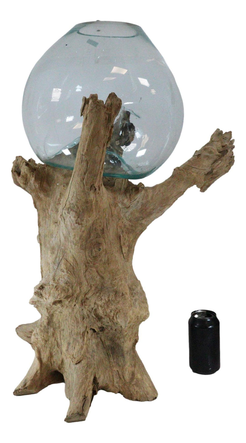 Large 28"H Bali Handicraft Driftwood With Molten Glass Bowl Vase Aquarium Decor