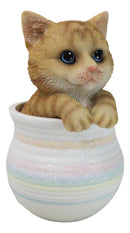 Lifelike Feline Kitty Orange Tabby Cat Blue Eyes In Pastel Artsy Pot Figurine