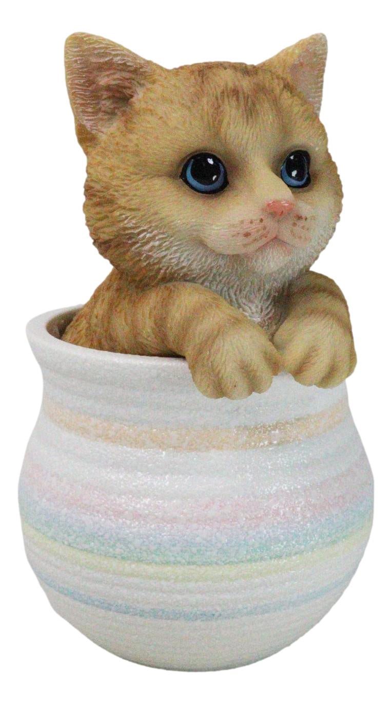 Lifelike Feline Kitty Orange Tabby Cat Blue Eyes In Pastel Artsy Pot Figurine