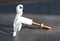Pack Of 6 Cast Iron Vintage White Sea Octopus Drawer Cabinet Door Pull Knobs