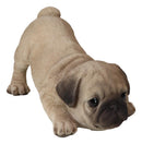 Realistic Lifelike Adorable Fawn Pug Puppy Dog Crouching Playfully Figurine