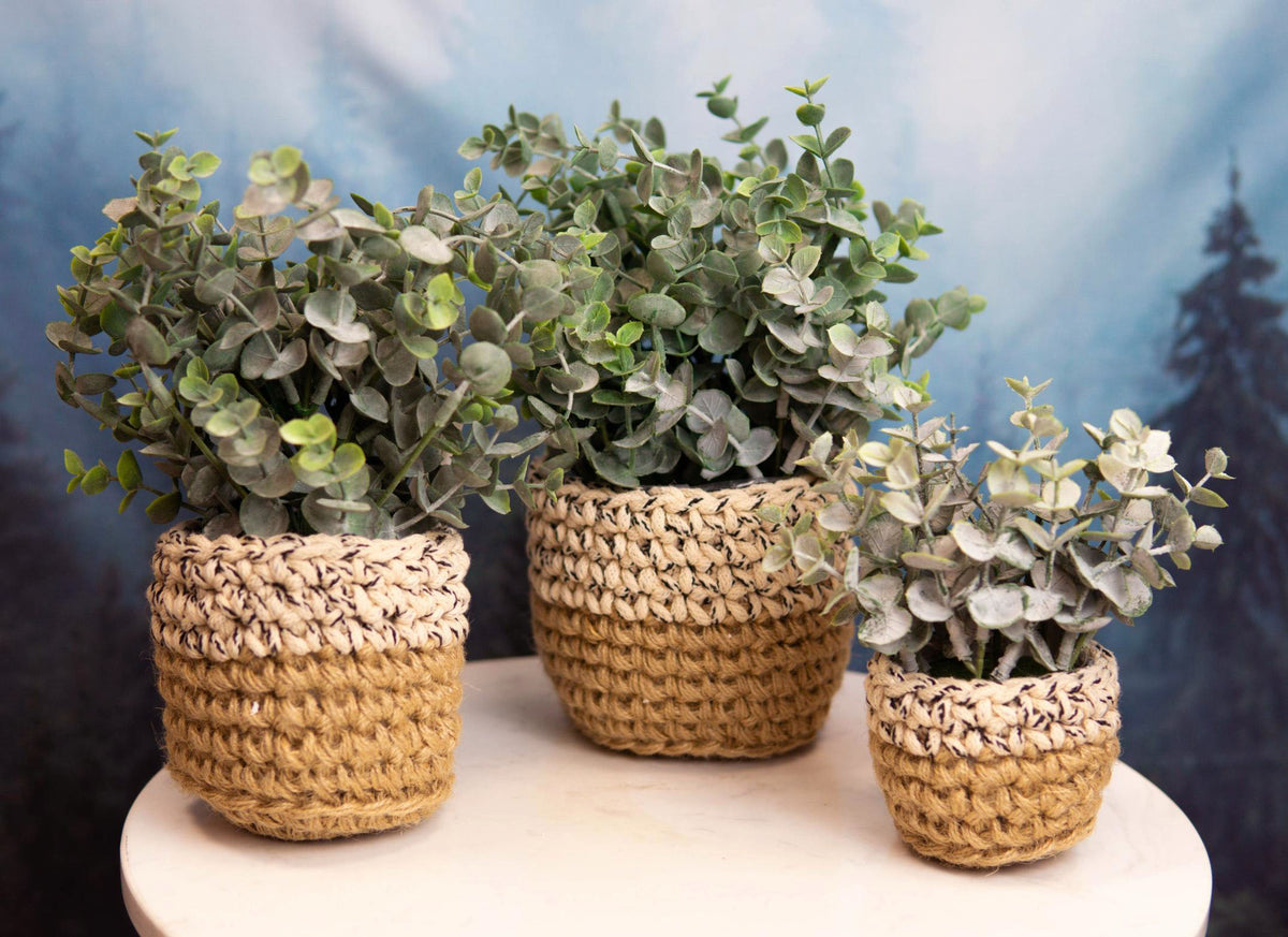 Set Of 3 Realistic Artificial Botanica Fern Eucalyptus Plant In Chic Woven Pots