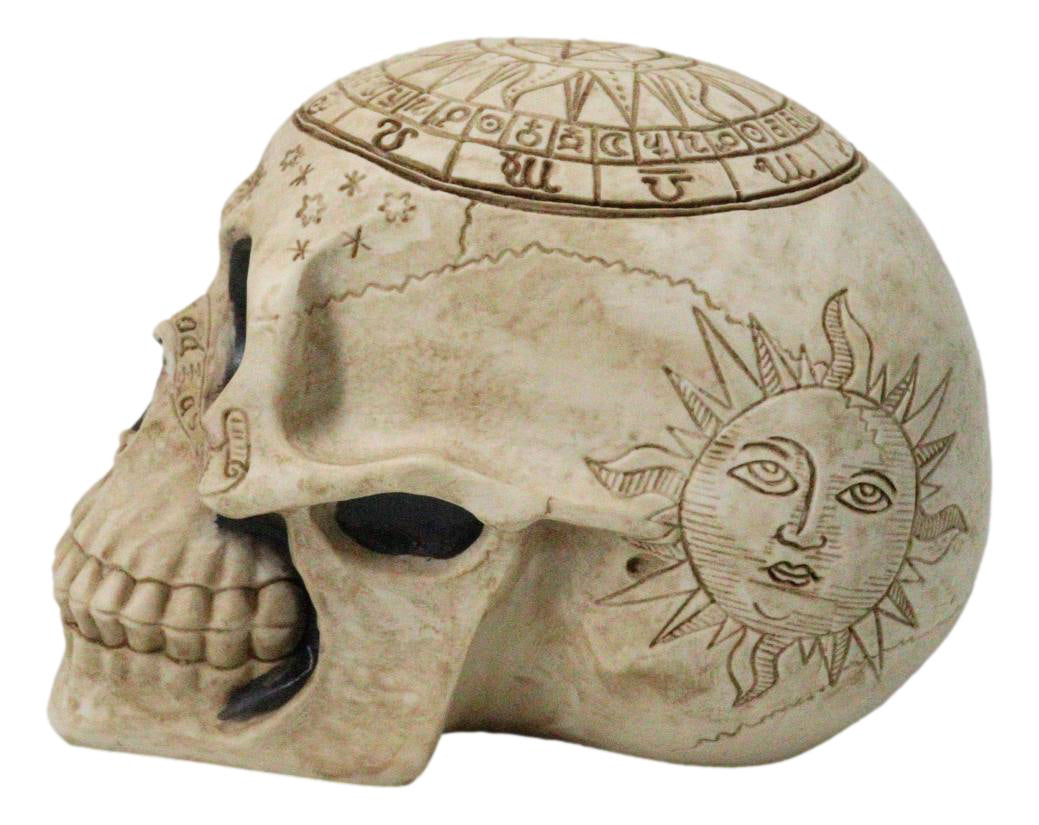 Ebros Gift Astrology Zodiac Skull Figurine Celestial Occult Gothic Decor