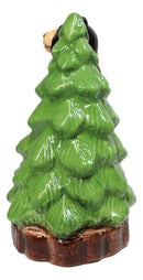 Wildlife Rustic Forest Black Bear And Pine Tree Ceramic Salt Pepper Shakers Set