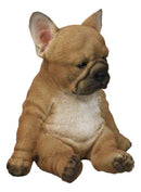 Laid Back Sitting Realistic Adorable French Bulldog Puppy Dog Figurine 7.5"H