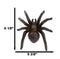 Cast Iron Bronze Finished Arachnid Spider Metal Wall Or Desktop Decor Sculpture
