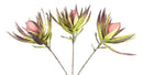 Set of 6 Realistic Artificial Botanica Faux Plants Thistle Fern Grass Leaf Stems