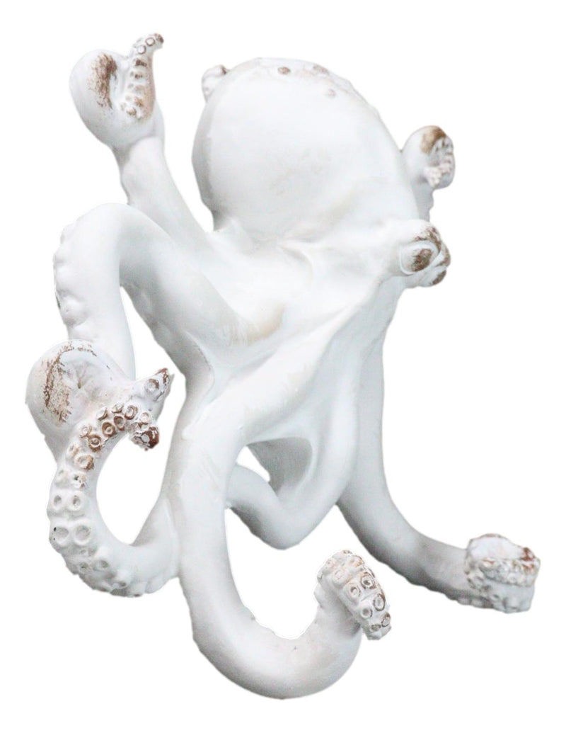 Nautical Marine Antique White Giant Octopus Multi Point Tentacles Wall Hooks