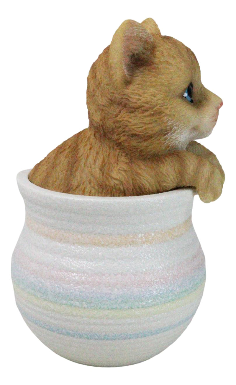 Lifelike Feline Kitty Orange Tabby Cat Blue Eyes In Pastel Artsy Pot Figurine