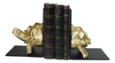 Nautical Marine Turtle Tortoise with Spiked Shell Bookends Sculpture Set 6"H