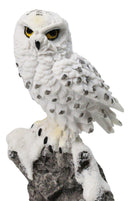 Tundra Forest Lone Snow White Owl Perching On Tree Branch Figurine 5"H