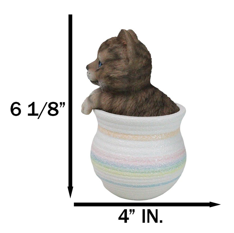 Lifelike Feline Kitty Brown Tabby Cat Blue Eyes In Pastel Artsy Pot Figurine