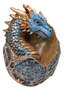 Metallic Bronze and Blue Azure Dragon Hatchling in Dragon Scales Egg Figurine