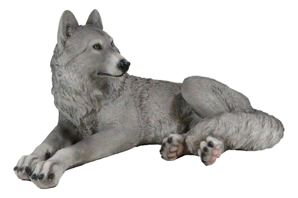 Resting Wise Gray Lone Wolf Figurine Timberwolves Pack Decorative Decor Statue - Ebros Gift