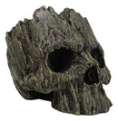Mythical Greenman Tree Ent Skull Resin Bowl Garden Planter Figurine 7"Long