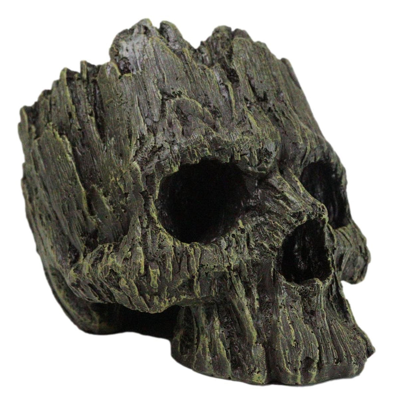Mythical Greenman Tree Ent Skull Resin Bowl Garden Planter Figurine 7"Long