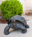 Realistic Marine Lifelike Galapagos Giant Tortoise Turtle Large Statue 18"L