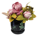 Witchcraft Magic Dark Forest Poisonous Plants Ceramic Planter Pot W/ Saucer Set