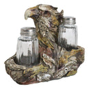 Faux Wooden American Bald Sea Eagle Glass Salt and Pepper Shakers Holder Set