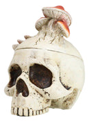 Wicca Gothic Toadstool Mushrooms And Fungi Skull Decorative Trinket Box Figurine