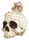 Wicca Gothic Toadstool Mushrooms And Fungi Skull Decorative Trinket Box Figurine