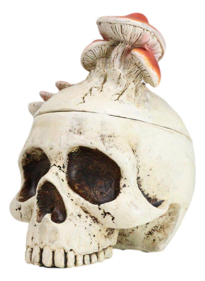 Wicca Gothic Toadstool Mushrooms And Fungi Skull Decorative Trinket Box Figurine