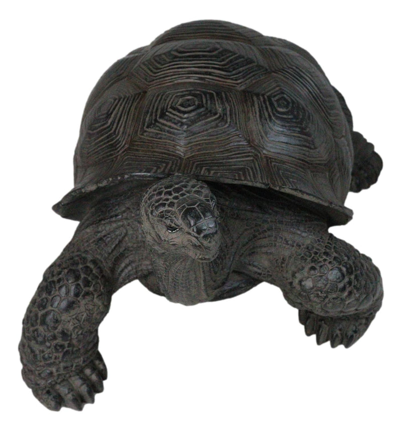 Realistic Marine Lifelike Galapagos Giant Tortoise Turtle Large Statue 18"L