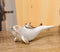 Set Of 6 Antique White Dolphins Ocean Marine Wall Hanging Decor Tree Ornaments