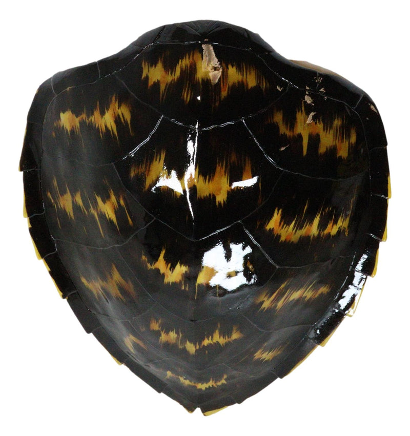 Large Nautical Marine Black Tone Faux Hawksbill Turtle Shell Replica Wall Decor