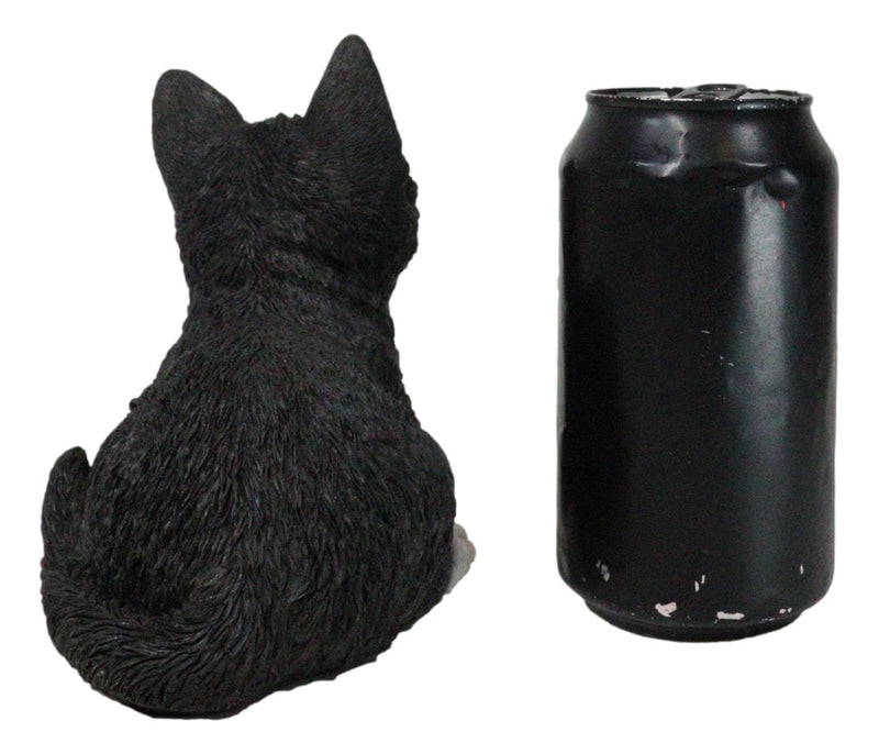 Lifelike Sitting Tuxedo Black and White Feline Kitten Cat Pet Pal Figurine