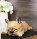 Realistic Adorable French Bulldog Frenchie Dog Puppy Sleeping Figurine 7.25"L
