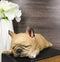 Realistic Adorable French Bulldog Frenchie Dog Puppy Sleeping Figurine 7.25"L