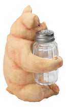 Cute Pig Salt and Pepper Shaker Holder Set with Glass Shakers, Smiling Porky Pig