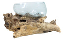 Balinese Natural Driftwood With Large Molten Glass Fruit Succulents Decor Bowl