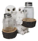 Wildlife Birds White Snowy Owl Couple Salt and Pepper Glass Shakers Holder