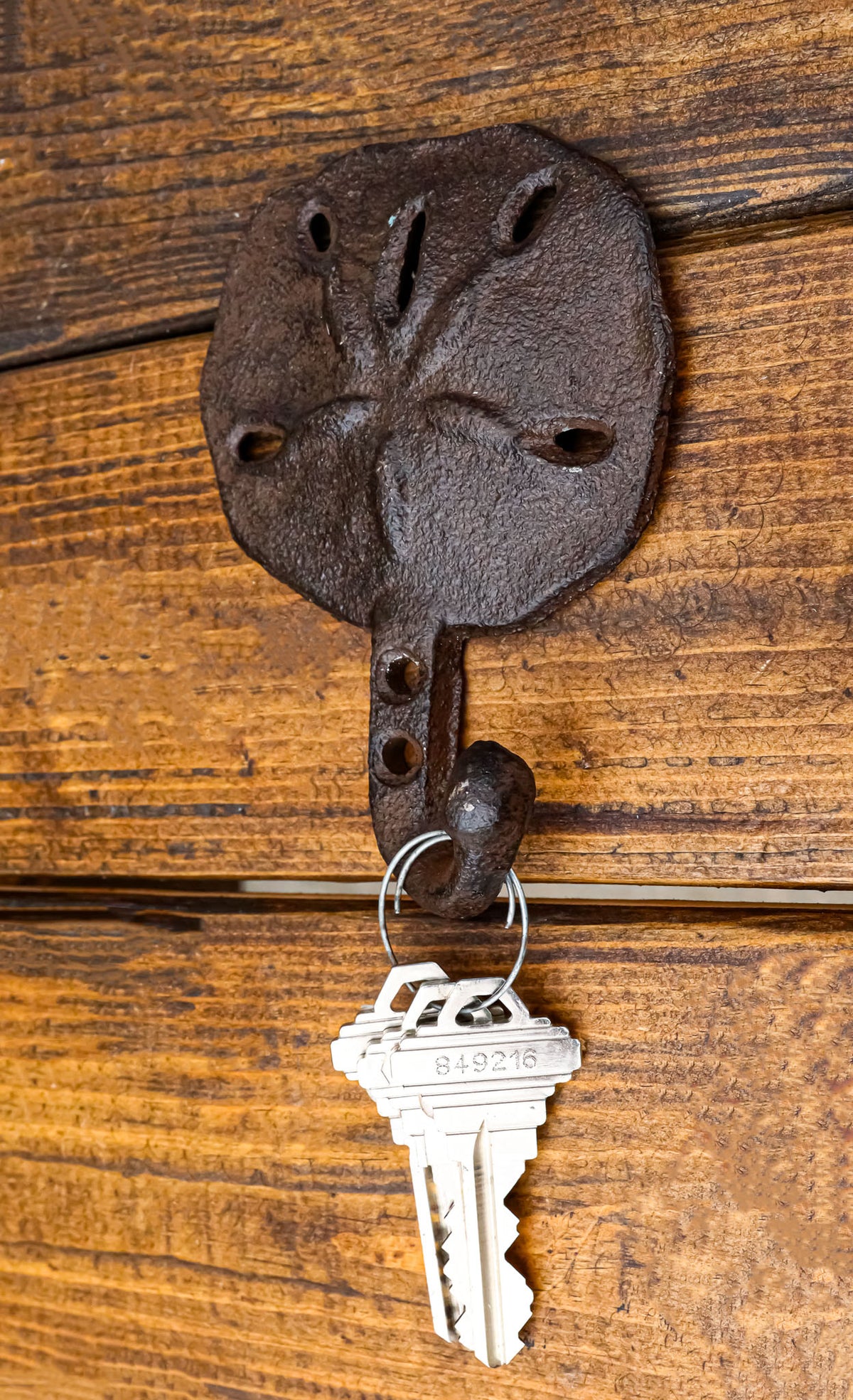 Pack Of Two Coastal Marine Rustic Ocean Sand Dollar Single Wall Coat Hook Hanger