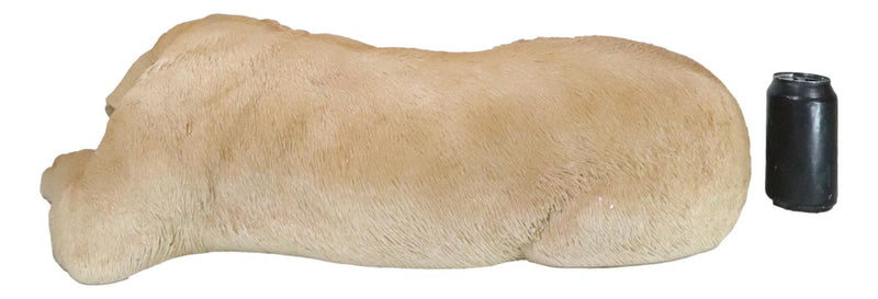 Large Realistic Sleeping Yellow Labrador Retriever Statue 21"H Golden Retriever
